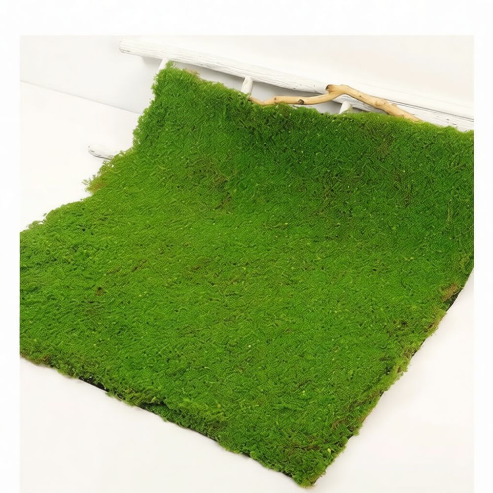 Kunstmatige mosmat, kunstgrasm - Preserved Moss Sheet recensie en prijs