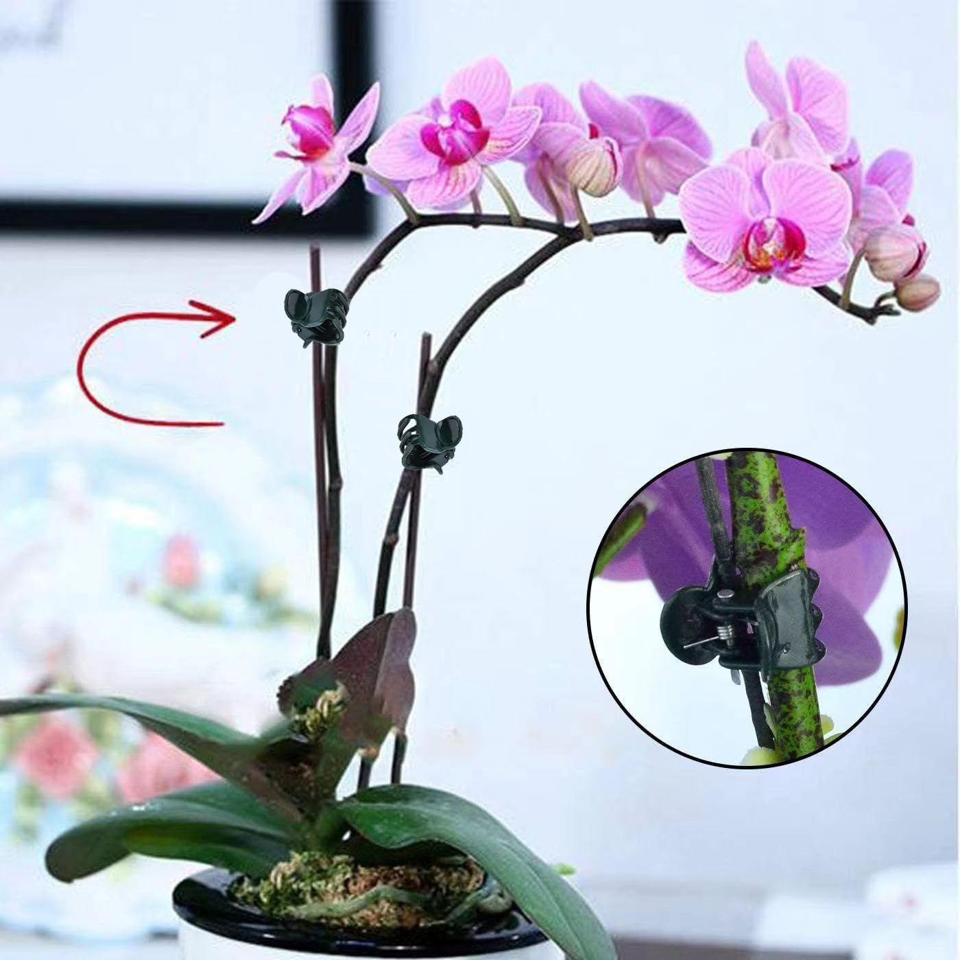 Mini plantenclips, 100 stuks,  - Florist Supply Bulk recensie en prijs