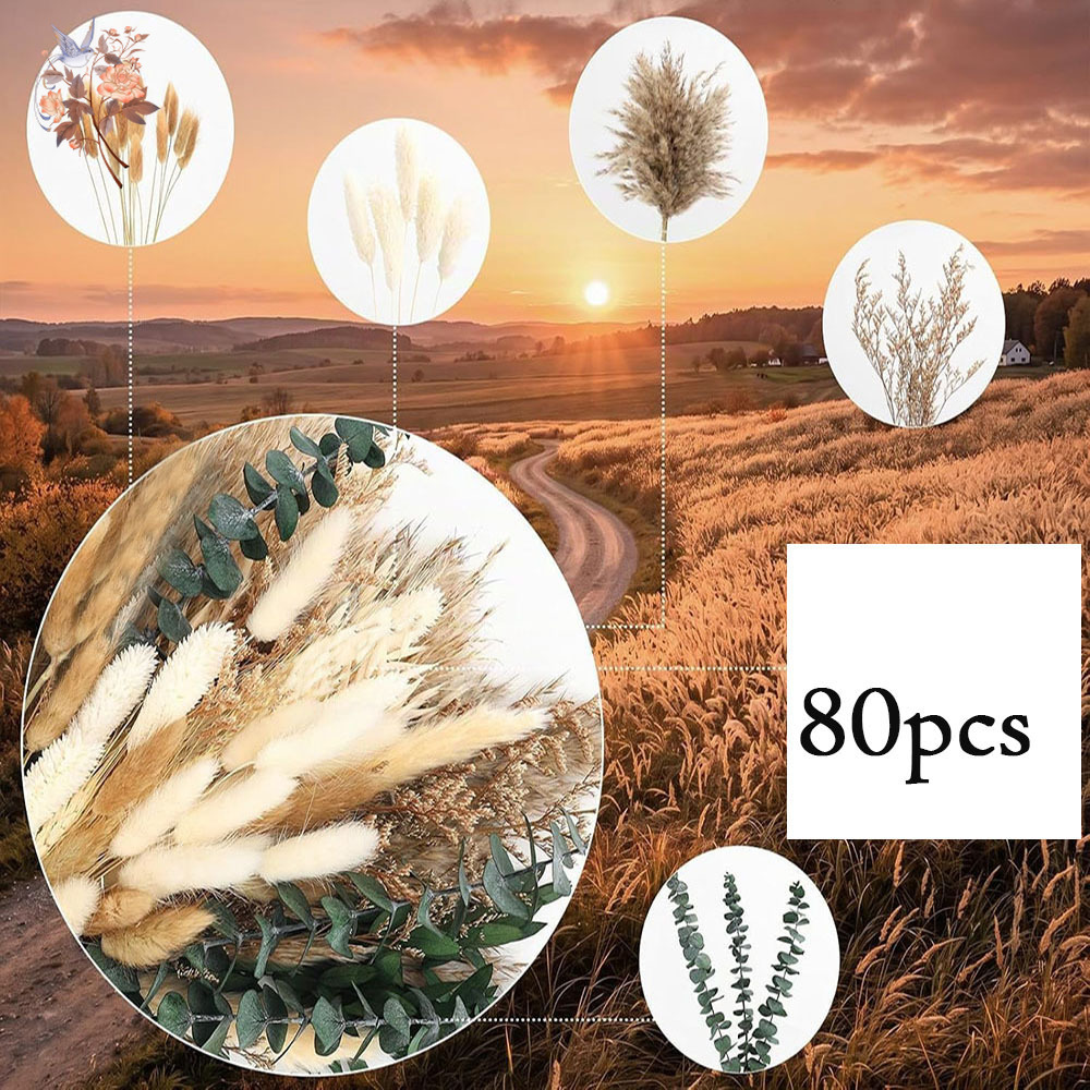 80 stuks natuurlijke gedroogde - Eucalyptus Preserved recensie en prijs