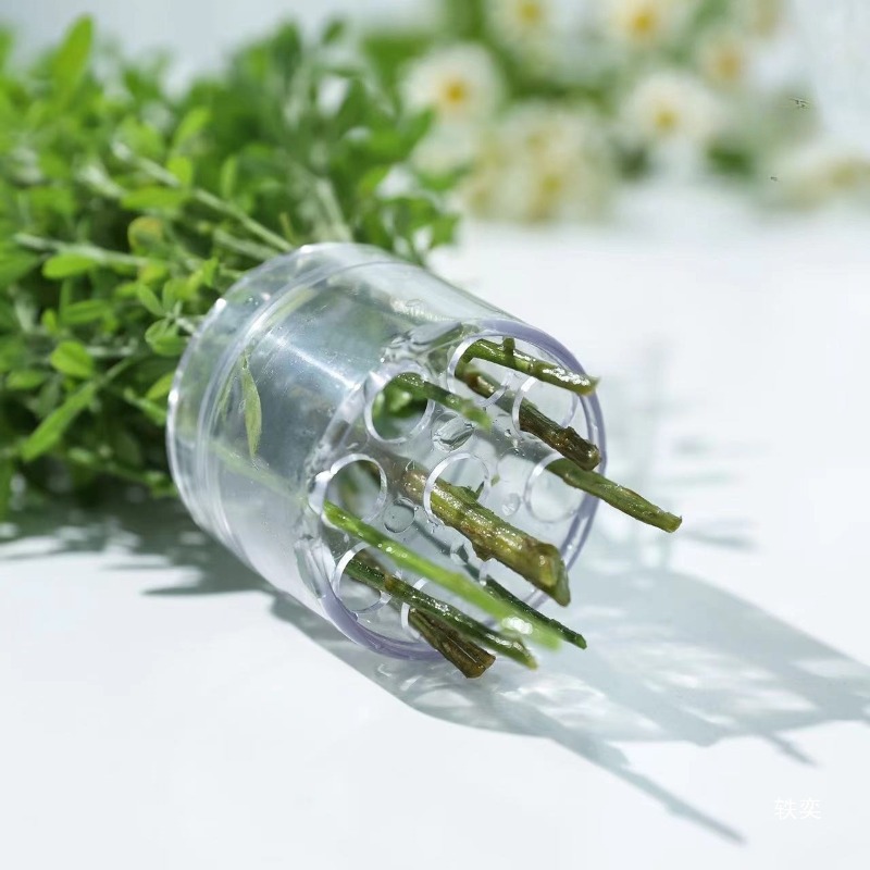 Spiraalvormige stamhouder Stev - Florist Supply Bulk recensie en prijs